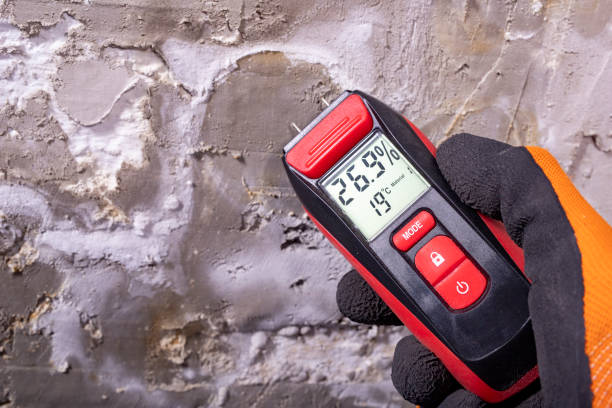 Best Mold Remediation for Specific Building Types in Zephyrhills South, FL